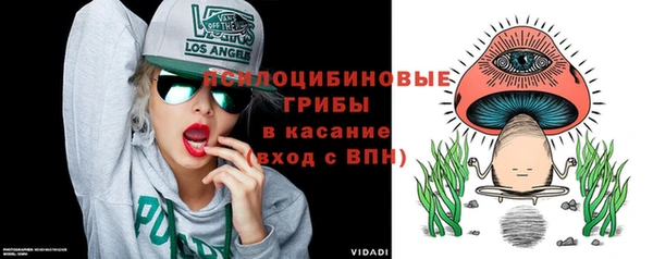 мескалин Ельня