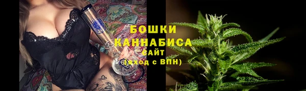 мескалин Ельня