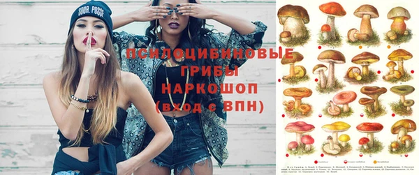 мескалин Ельня