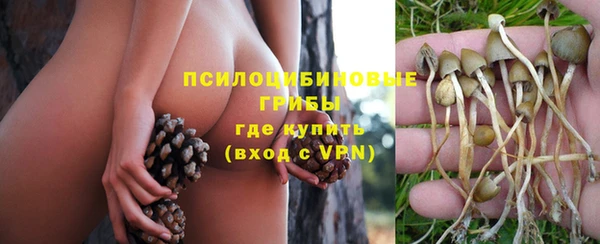 apvp Елизово